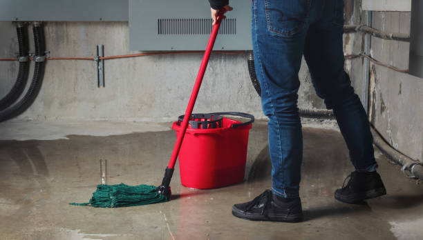 Best Mold removal after water damage  in Duncan, SC